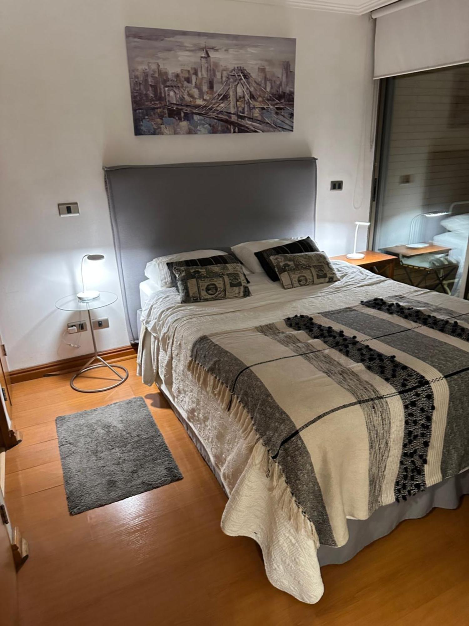 Appartamento Precioso Departamento Providencia Santiago del Cile